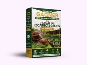 COMMENT REALISER ENTRE 350 000F ET 500 000F/MOIS AVEC L’ELEVAGE DES ESCARGOTS GEANTS D’AFRIQUE