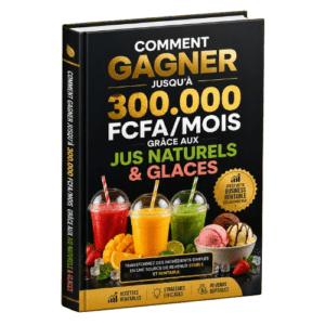 Comment gagner jusqu’à 300.000 FCFA/MOIS grâce aux jus naturels & glaces